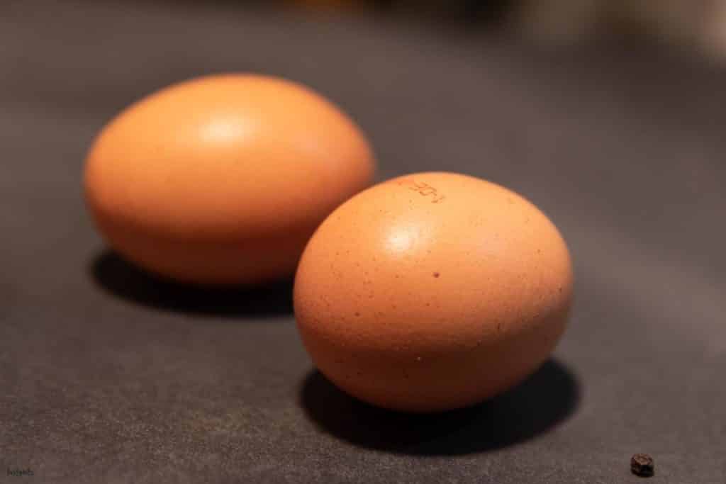 Eier