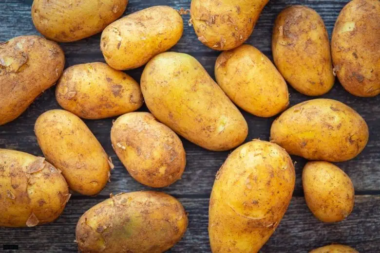 Kartoffeln für Kartoffelsalat