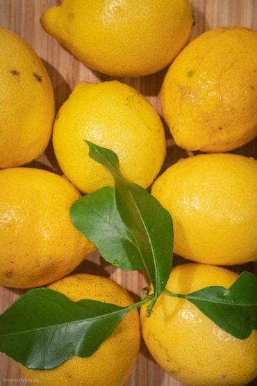 Frische Zitronen fermentieren
