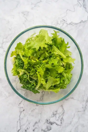 Grüner Blattsalat Mix