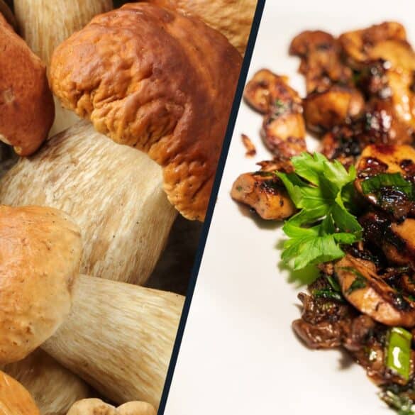 Gebratene Steinpilze auf klassische Art | tastybits.de - Jannik kocht!