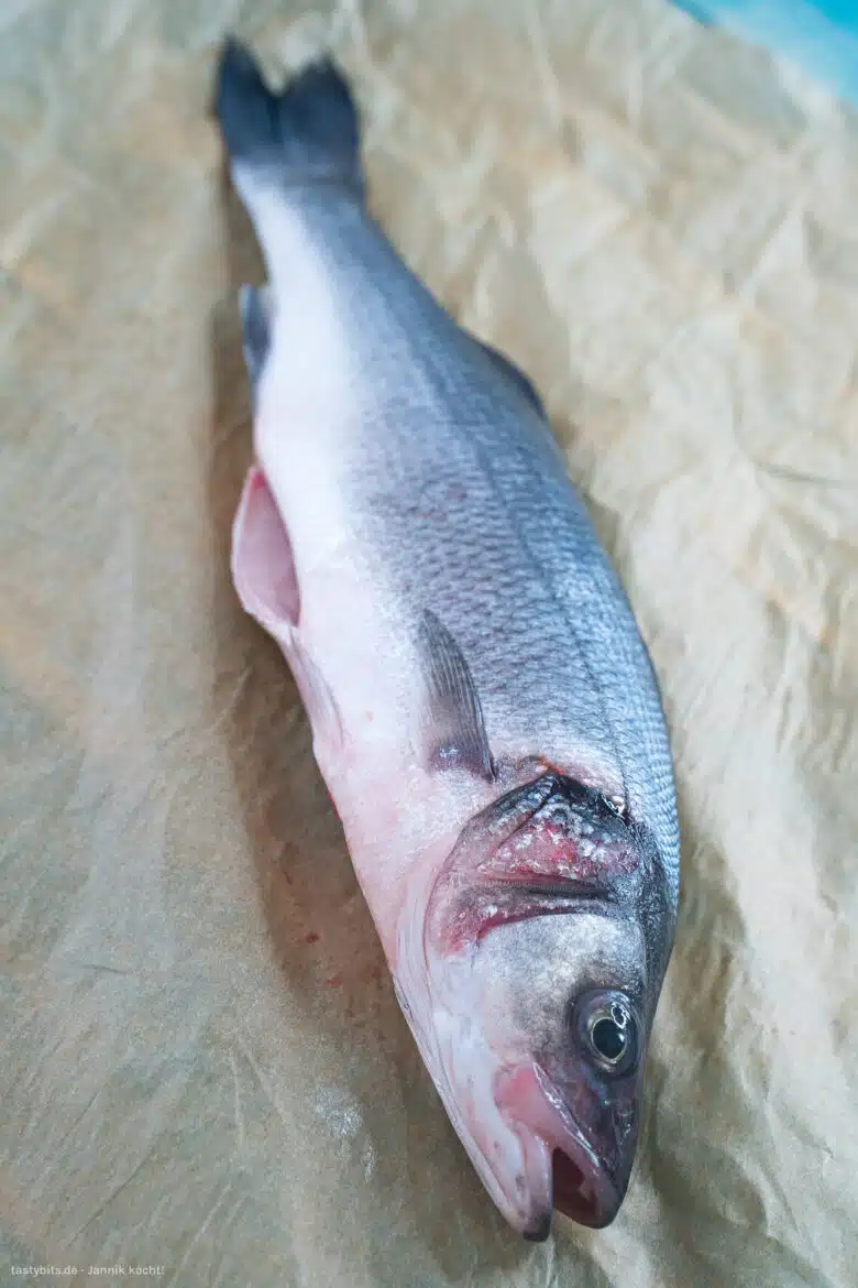 Frischer Wolfsbarsch